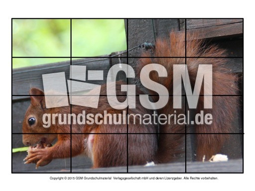 Puzzle-Eichhörnchen-15.pdf